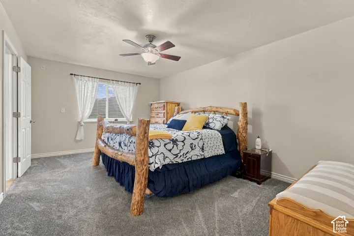 Wall-to-wall carpeting with light-toned walls and a window with blinds