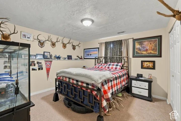 Carpeted bedroom featuring a flush-mount ceiling light, window with curtains, and a bi-fold closet door