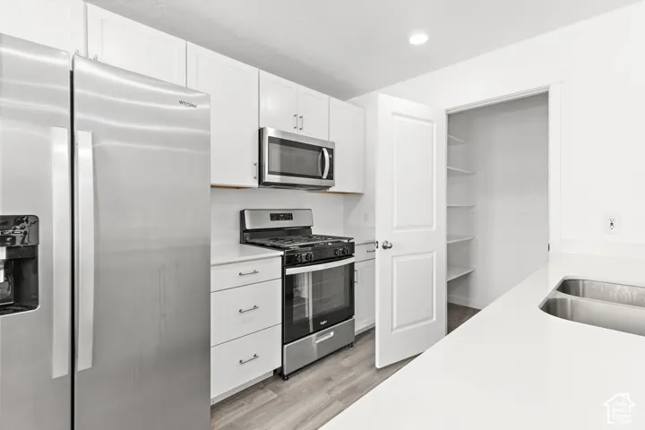 Stainless steel appliances, white cabinetry, light countertops, dual basin sink, and wood-finish flooring
