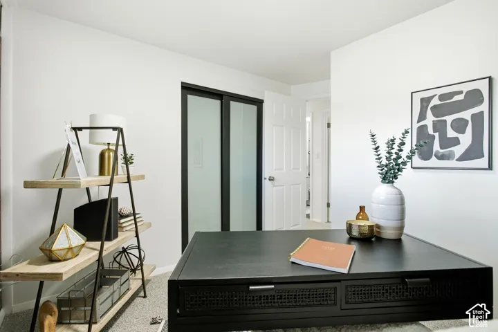 Room featuring light gray carpeting, white walls, and a sliding door with frosted glass panels