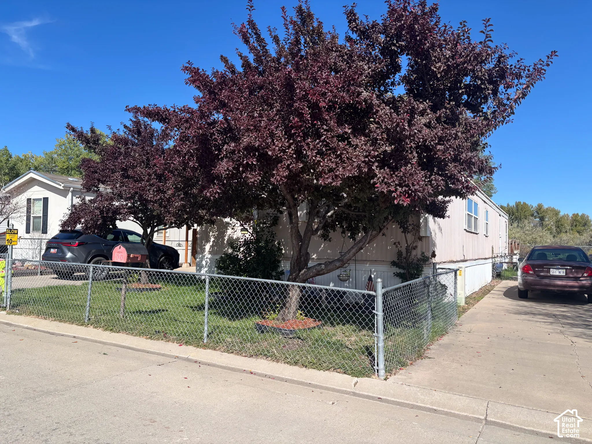 Chain-link fence enclosing a front yard with mature trees