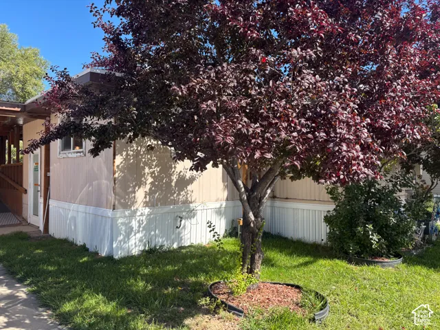 Lush deciduous tree with deep red foliage, manicured lawn, and exterior siding