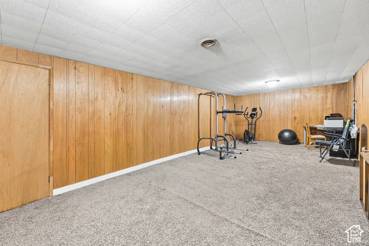 Carpeted flooring, wood-paneled walls, ceiling-mounted light fixture, drop ceiling, and a wooden door