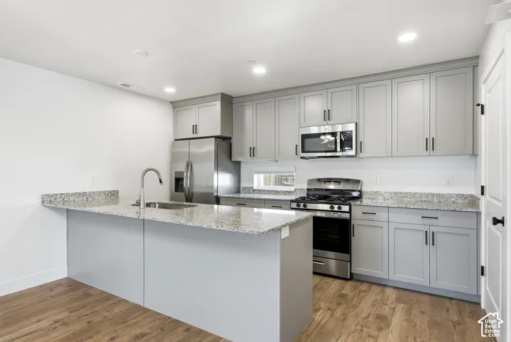 Kitchen featuring light gray cabinetry, stainless steel appliances, speckled stone countertops, a single basin sink with a gooseneck faucet, and wood-finish flooring