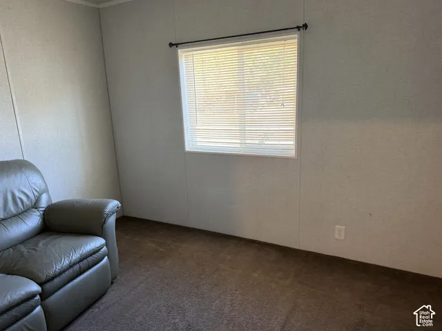 Wall-to-wall carpeting with a light-toned window and an overhead window treatment rod