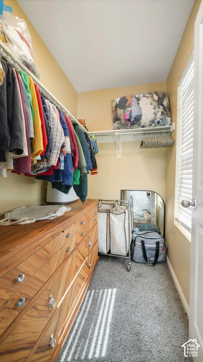 Walk-in closet featuring wall-mounted shelving and hanging rods, a window with horizontal blinds, and carpeting