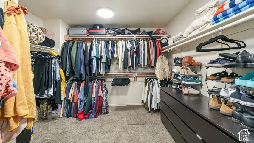 Walk-in closet featuring extensive built-in shelving, multiple hanging rods, a built-in dark wood-finish dresser, and carpeted flooring