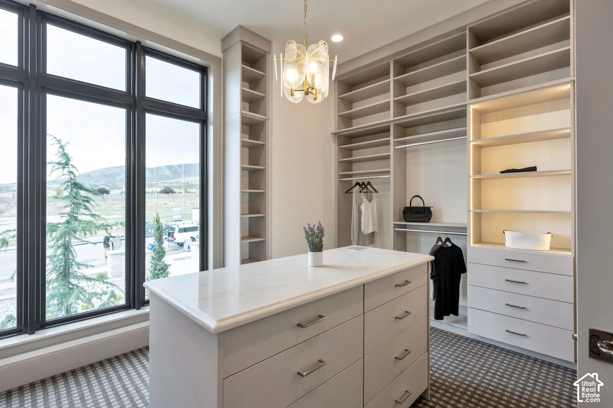 Integrated custom cabinetry with shelving and hanging rods
