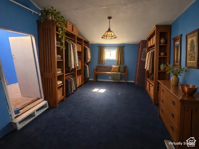 Built-in wood-finish shelving and hanging storage, deep blue carpeting, and a central pendant light fixture