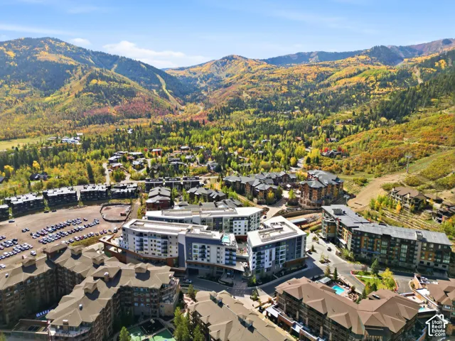 Mountainous terrain with extensive tree coverage
