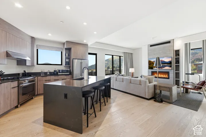 Open-concept living area featuring light wood-finish flooring, a contemporary kitchen with stainless steel appliances, a large center island with seating, a built-in fireplace, and expansive windows