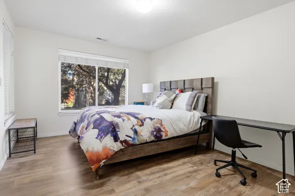 Wood-finish flooring, large window with integrated roller shades, and ceiling-mounted lighting