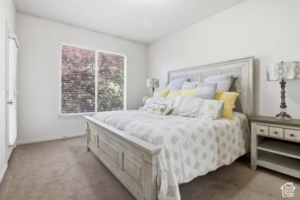 Neutral wall paint, plush carpeting, and a large sliding window with blinds