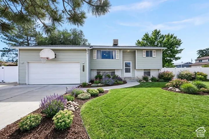 Ai Re-landscaped Front Yard