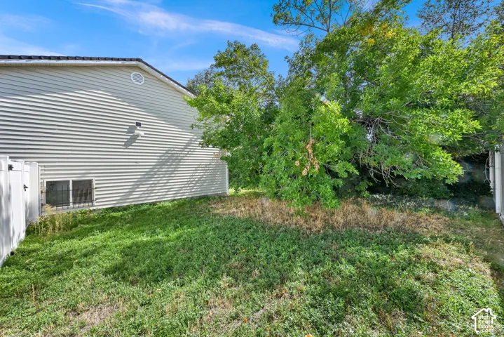 Southwest side of Backyard