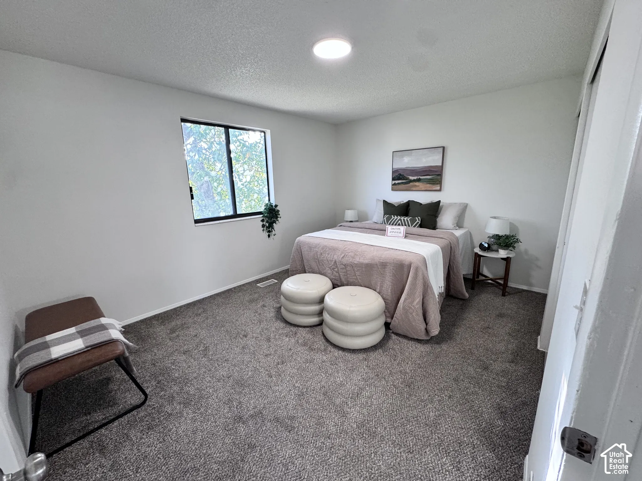 Carpeted room with a window, white walls, and a ceiling-mounted light fixture