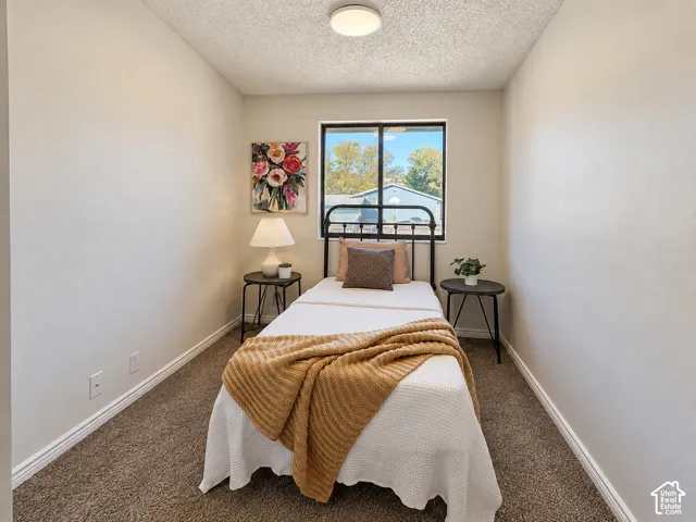 Neutral-toned walls complement the textured carpeting