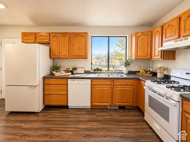 Kitchen featuring wood-finish flooring, wood cabinetry, a double basin stainless steel sink, and dark countertops
