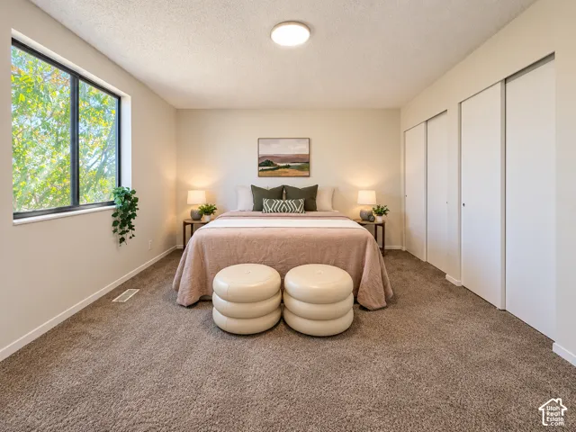 Carpeted flooring, a large window, a flush-mount ceiling light, and two white sliding closet doors