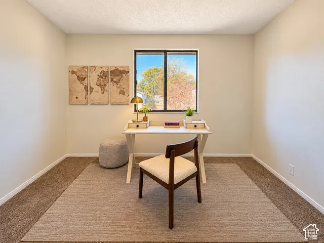 Neutral tone wall finishes, window with black framing, and plush carpeting