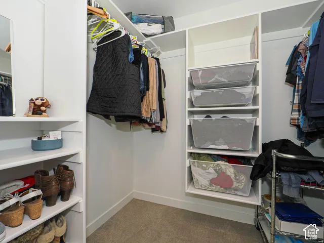 Built-in custom shelving, integrated hanging rods, white cabinetry, and carpet flooring