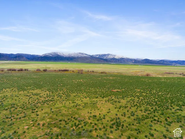 Expansive open fields with varied green foliage and distant snow-capped mountains