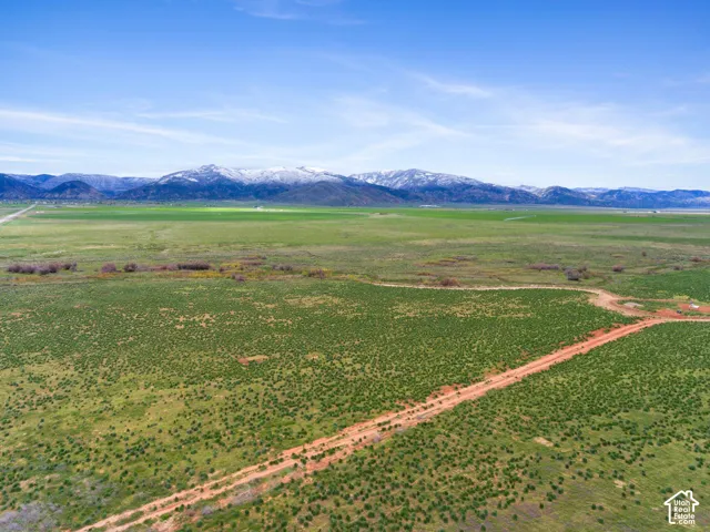 Expansive green terrain with distant snow-capped mountains under a clear sky