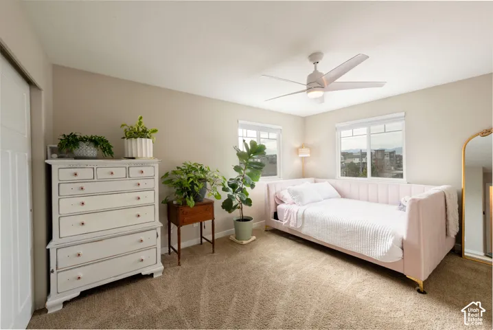 Dual windows with roller shades, neutral tone wall paint, textured carpet flooring, and a ceiling fan with integrated lighting