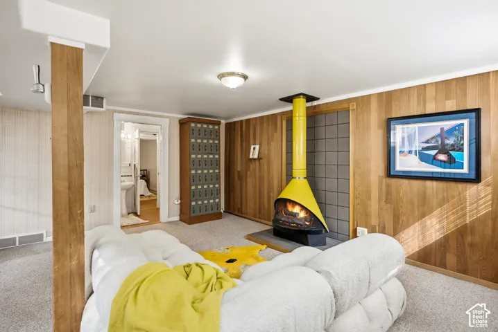 Wood-paneled wall, freestanding fireplace,  and carpeted flooring