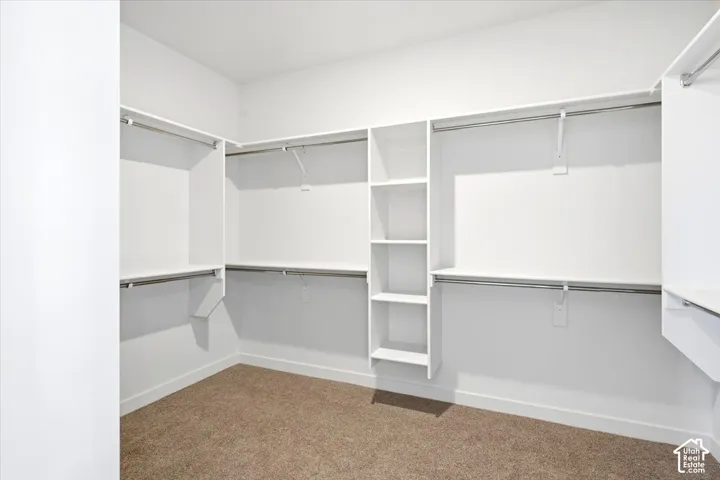 Walk-in closet featuring white built-in shelving, multiple hanging rods, and light brown carpet