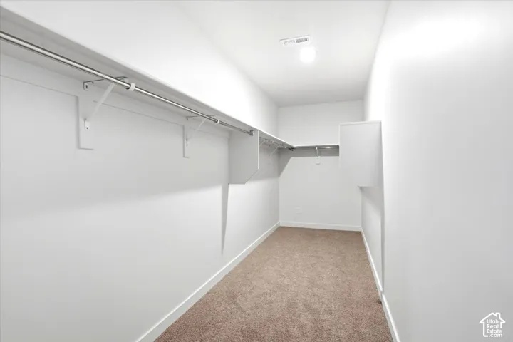 Walk-in closet featuring built-in shelving, hanging rods, and carpet flooring