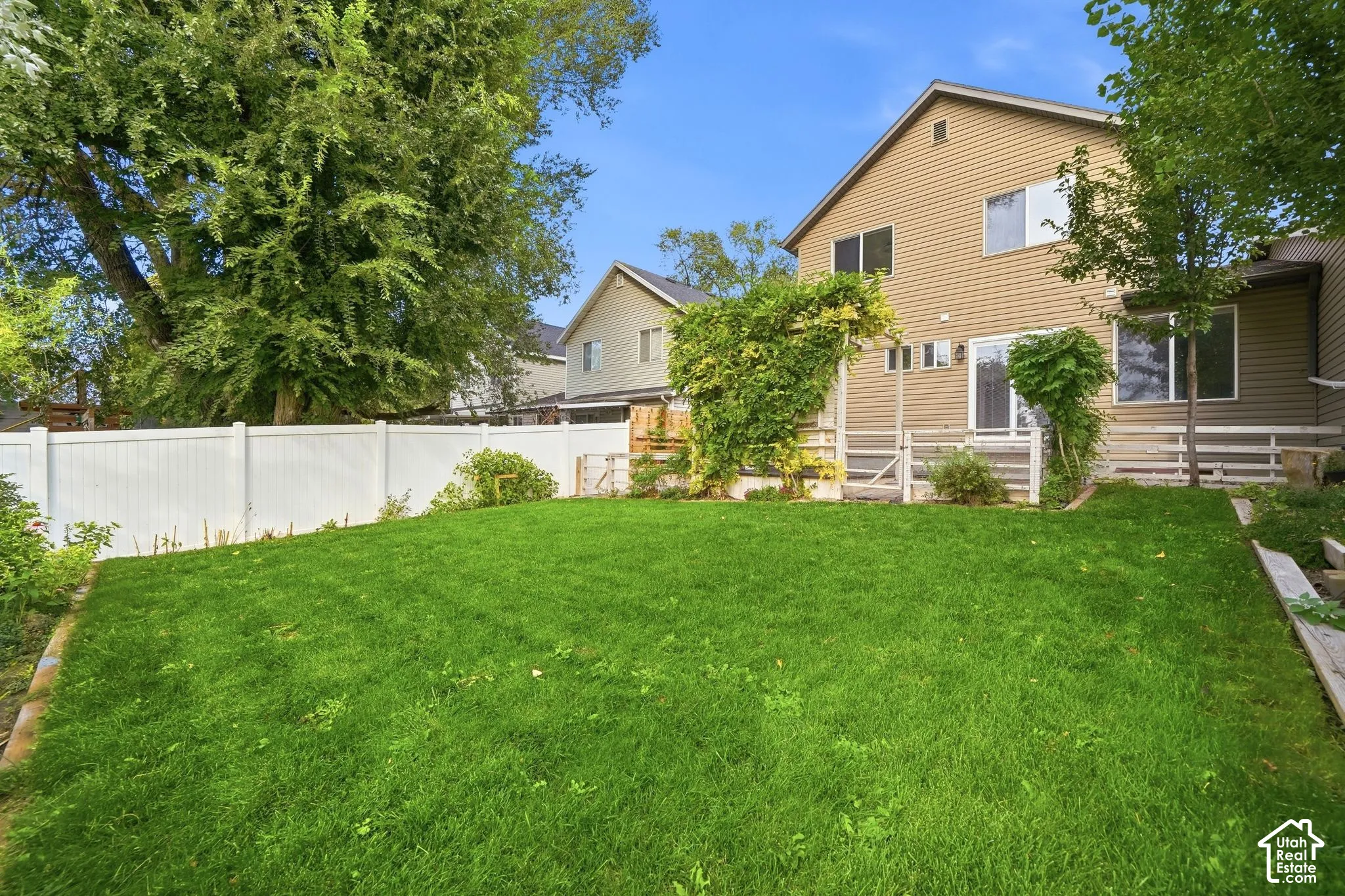 Expansive grassy yard with a white privacy fence and mature trees