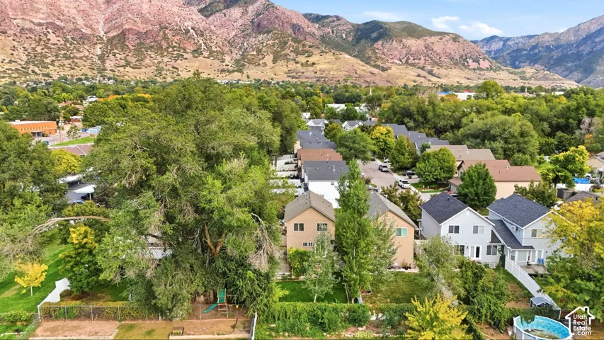 Residential neighborhood with abundant mature trees and mountainous terrain