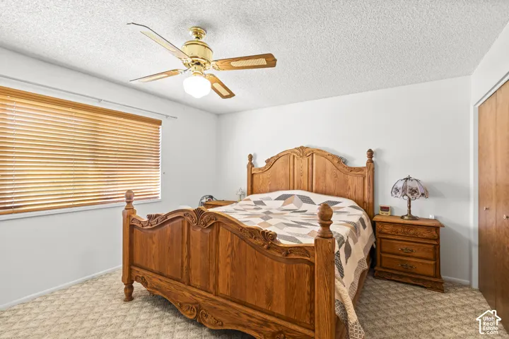 White walls complement the patterned carpeting