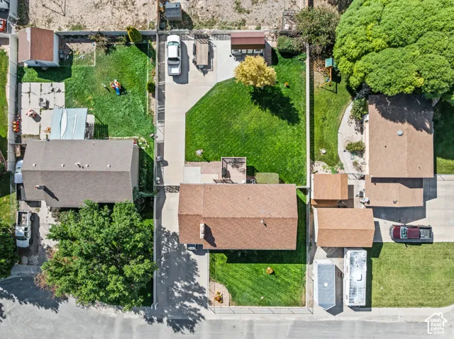 Expansive property featuring a large grass lawn, mature trees, and an extended paved driveway