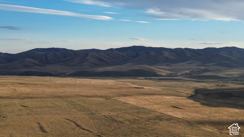 Expansive open terrain with natural ground cover
