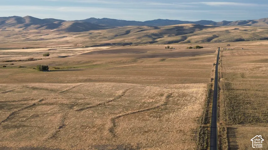 Expansive open land with a paved roadway, distant mountains, and scattered trees