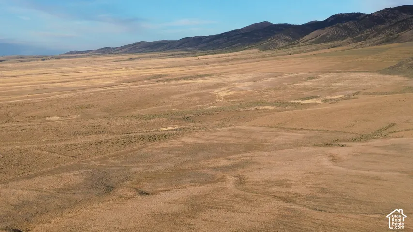 Expansive acreage featuring natural ground cover and distant mountains