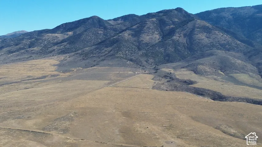 Expansive undeveloped land with a distant mountain backdrop
