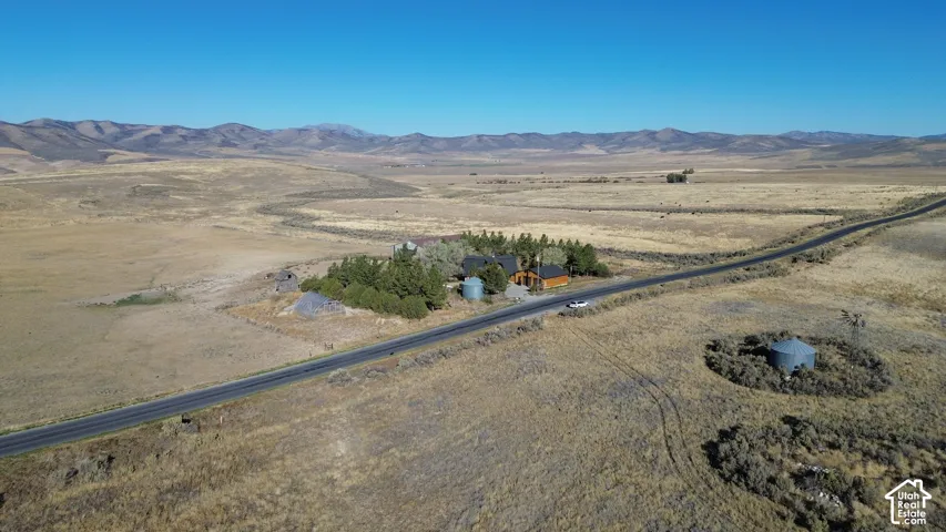 Rural property featuring a single-story residence, mature evergreen trees, and a paved road