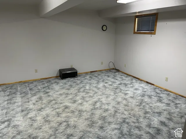 Recessed window with wood-finish trim, overhead fluorescent lighting, and wall-to-wall carpeting