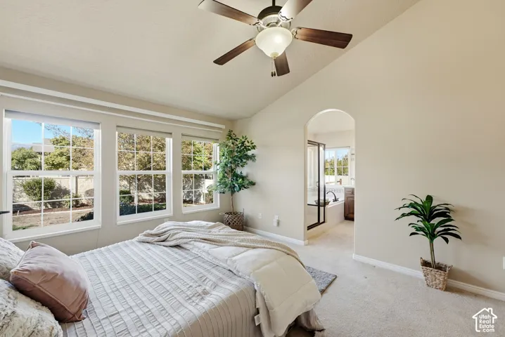 Vaulted ceiling with a ceiling fan, arched doorway, three windows, and plush carpeting