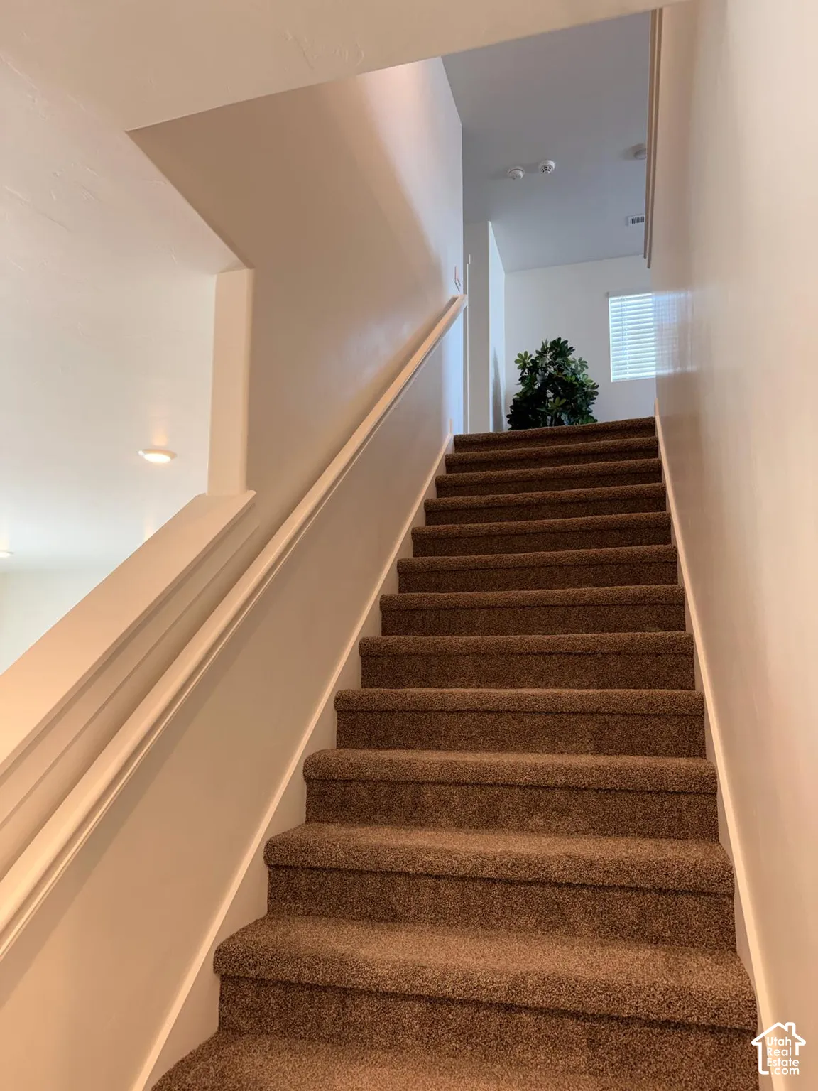 Carpeted staircase with white handrail and trim