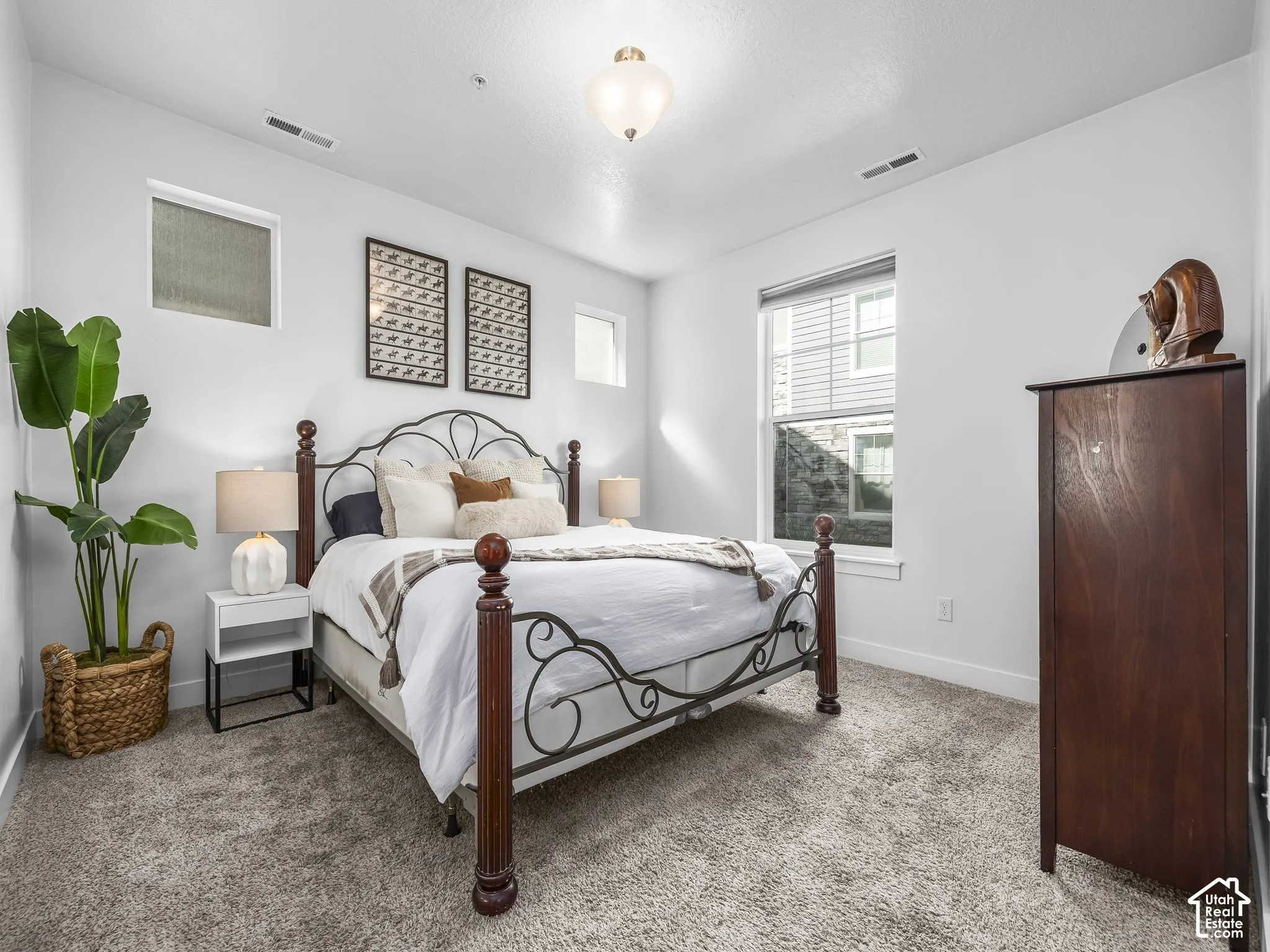 Plush carpet flooring, multiple windows, and a ceiling-mounted light fixture