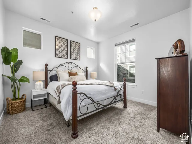Plush carpet flooring, multiple windows, and a ceiling-mounted light fixture