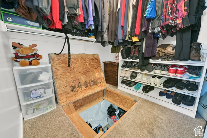 Crawl space located in the master closet