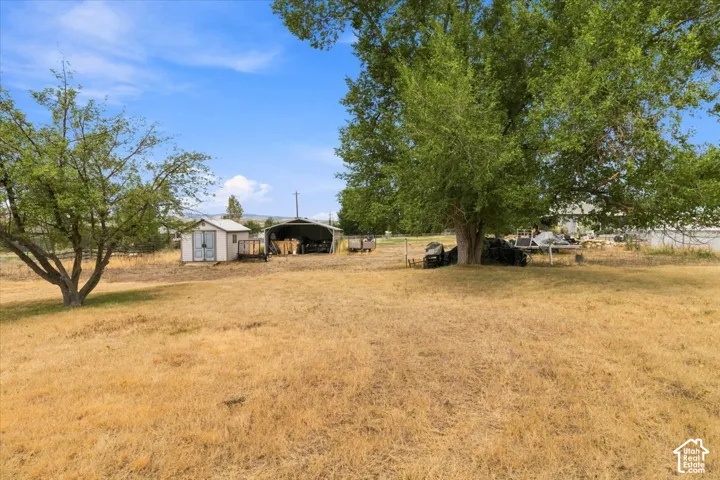 Spacious outdoor area featuring mature trees, a detached shed, and a covered outbuilding
