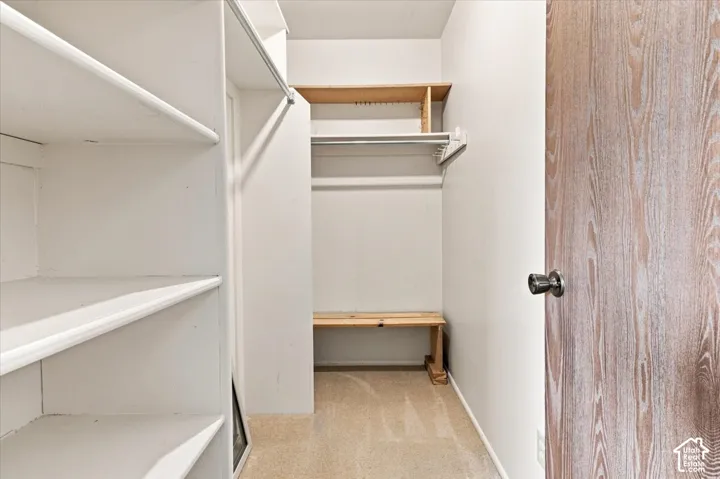 Built-in shelving, hanging rod, wood-finish door, and carpeted flooring