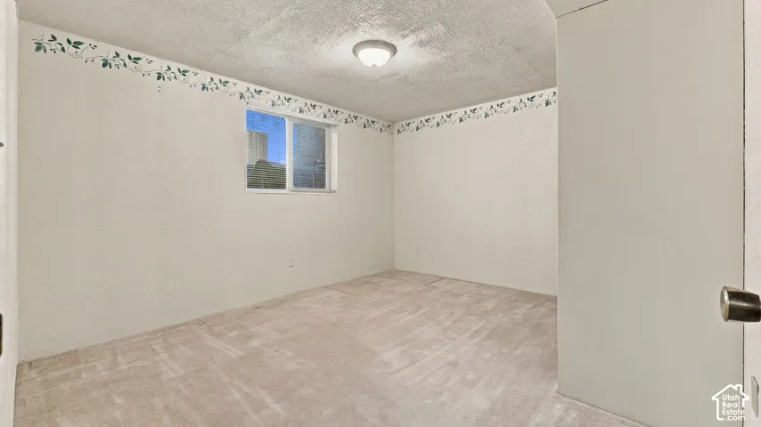 Interior room featuring wall-to-wall carpeting, a dual-pane window, and a ceiling-mounted light fixture