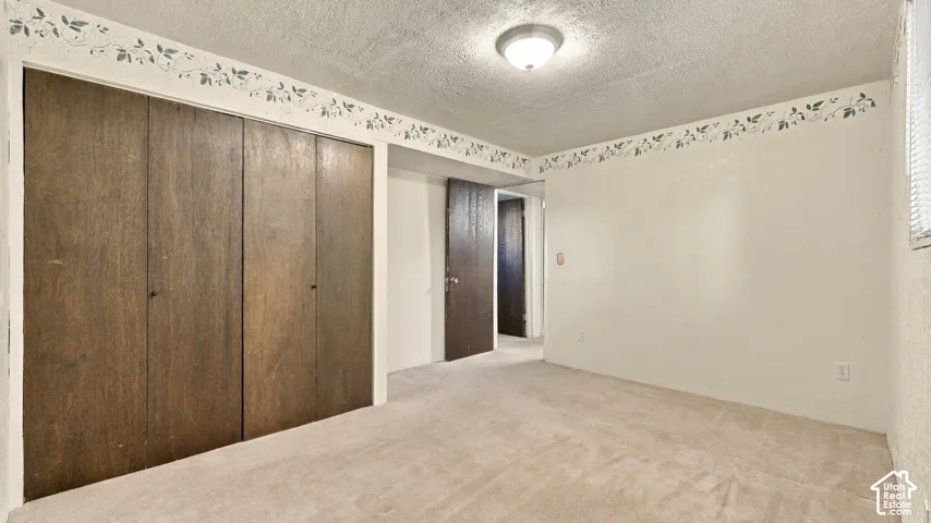 Room featuring wall-to-wall carpeting, wood-finish closet doors, and flush-mount ceiling lighting